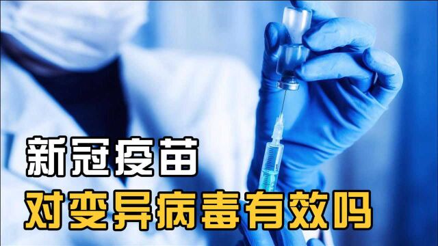 疫苗的原理是什么?接种新冠疫苗,能帮助石家庄脱困吗?