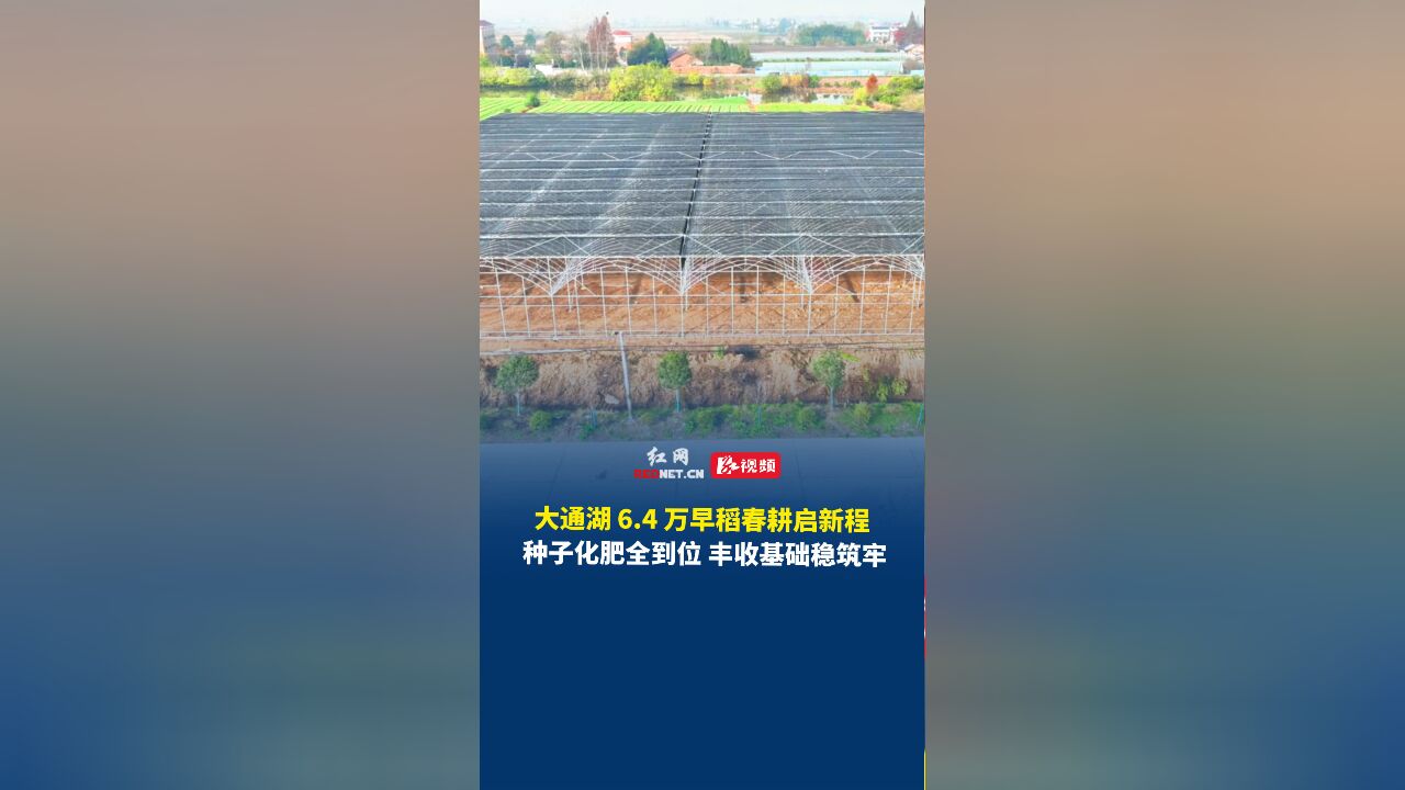 大通湖区6.4万亩早稻备耕忙 农资储备与育秧大棚扩建奏响春耕旋律