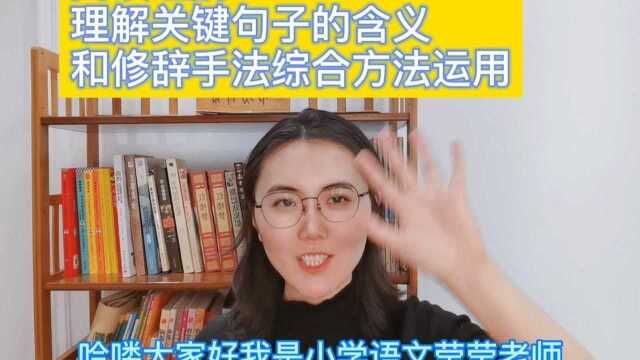 阅读理解——理解关键句子含义和修辞手法综合方法运用