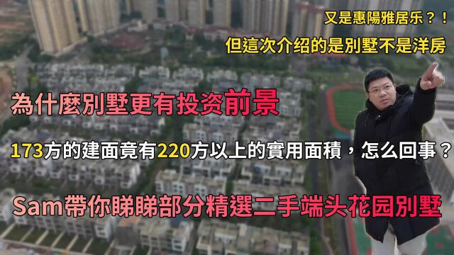 惠阳雅居乐别墅,南站新城板块的投资靓品,173方建面有220方实用