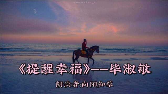 世界晚安睡前必听夜读毕淑敏《提醒幸福》