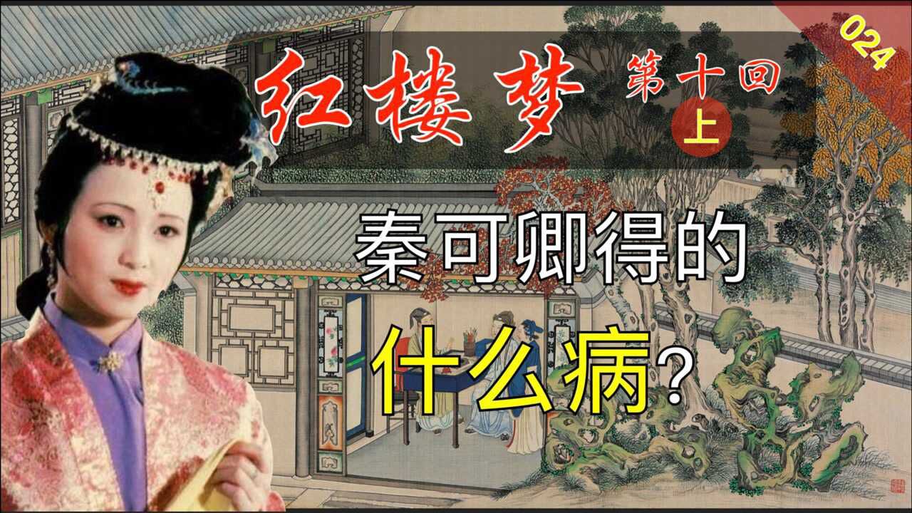 红楼梦024:《脂砚斋重评石头记》第十回 上 金寡妇贪利权受辱