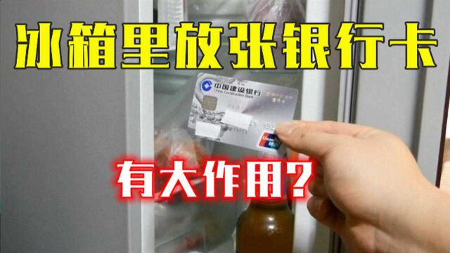 冰箱里放张银行卡,能省大笔钱?可惜很多人不懂,白白浪费好多电