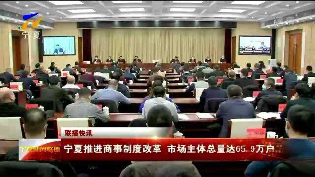 宁夏推进商事制度改革 市场主体总量达65.9万户