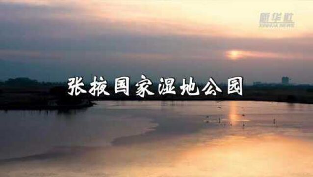 “云游”30秒——张掖国家湿地公园