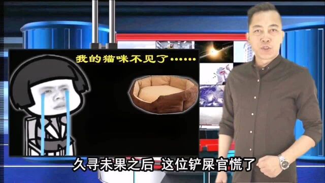 《寻猫启事》 搞笑视频 助手 学院