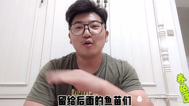 我为什么不给金鱼加温?原因只有一个,就是想让金鱼活的久一点