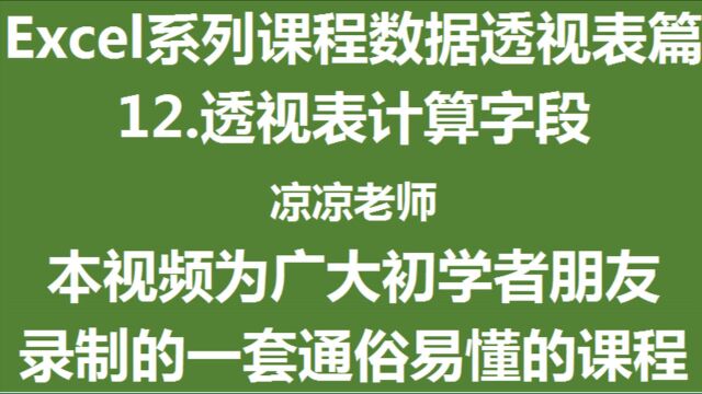 Excel数据透视表课程 12 透视表计算字段