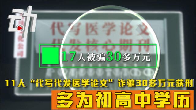 11人“代写代发医学论文”诈骗30多万元获刑: 多为初高中学历