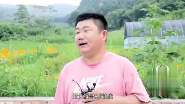 幕后花絮:赵四家的花圃有多大?你绝对想不到