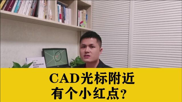 CAD光标附近显示的小红点,如何消除掉?看完这个视频你就明白啦