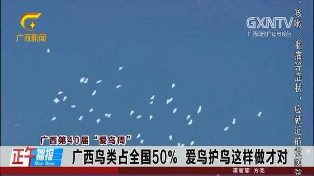 广西鸟类占全国50%,爱鸟护鸟这样做才对