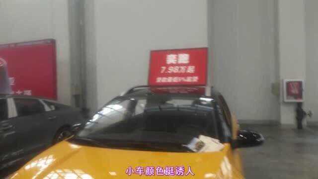 看看沈阳国际车展