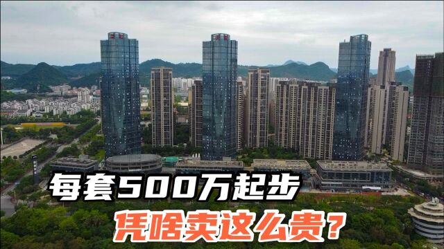 实拍柳州最贵的楼盘,每平2万5,每套500万起步,会有人买吗?