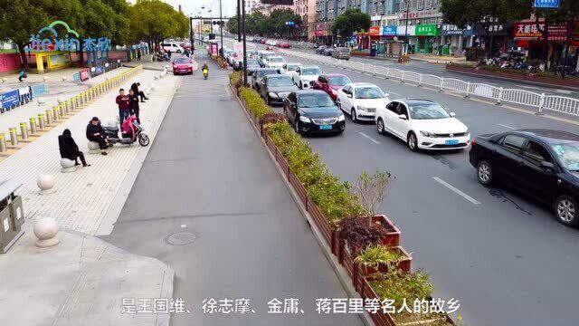 海宁水月亭路道路花箱 道路与繁花相伴 四季花不断 春日无尽头