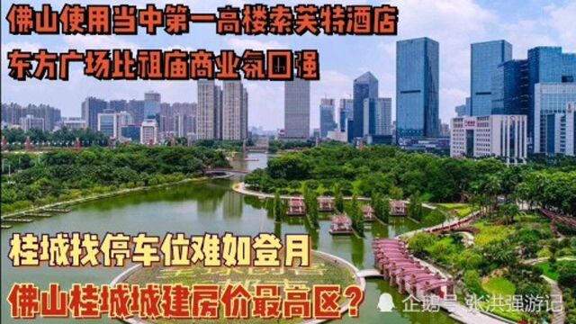 佛山桂城房价城建最高?找停车位难如登月,比良容强?东方广场比祖庙人气旺