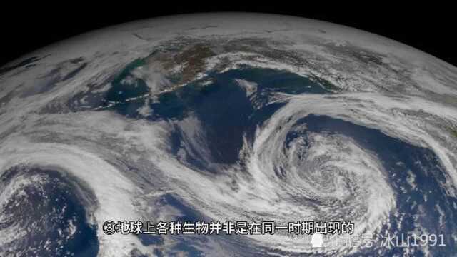 八年级下册生物进化的历程