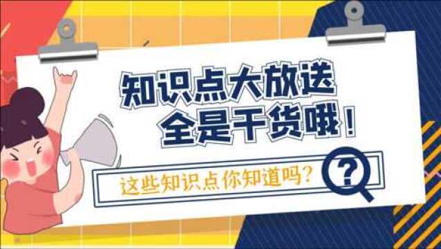 如果你想注册拼多多企业店,那关于营业执照的那点事儿,你得知道