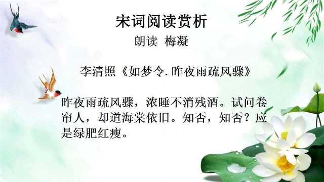 宋词赏析 李清照《如梦令 昨夜雨疏风骤》朗读 梅凝