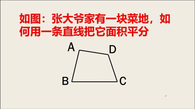 张大爷家有一块菜地,如何用一条直线把面积平分?难住很多人