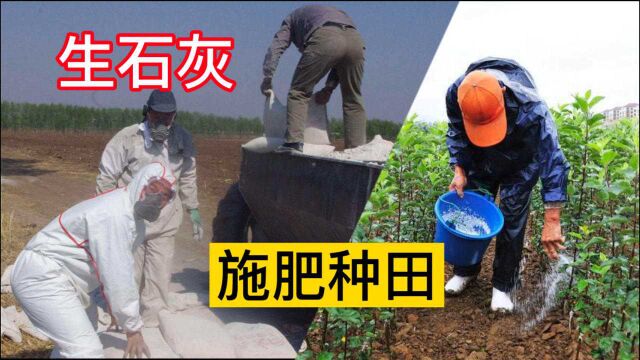 生石灰给花生等农作物施肥?3大好处,普通肥料无法代替