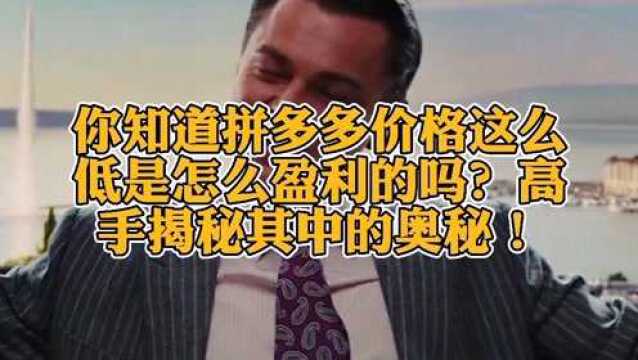 你知道拼多多价格这么低是怎么盈利的吗?高手揭秘其中的奥秘!