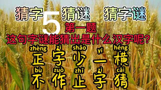 猜字谜,正字少一横,不作止字猜?那作什么猜?脑袋都想破了吧?