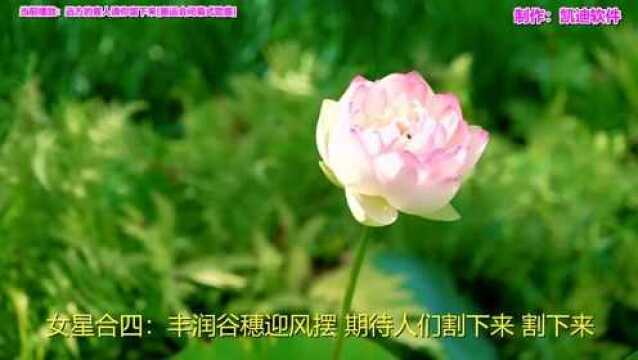 《远方的客人请你留下来[奥运会闭幕式歌曲]》欣赏,会声会影mv制作教程