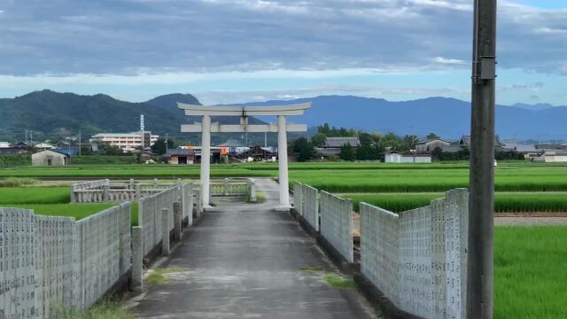 实拍日本田间,和动画里的景色一样吗?相比中华田园又如何