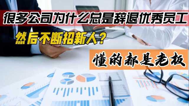 很多公司为什么总是辞退优秀员工,然后不断招新人?懂的都是老板