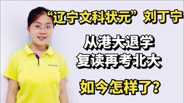 8年前,从港大退学再考北大的辽宁文科状元刘丁宁,如今怎样了?