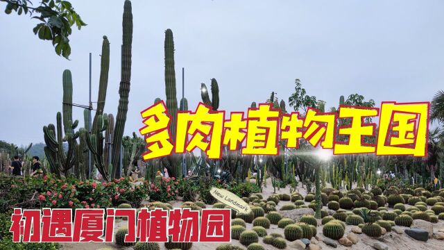 漫游厦门植物园多肉植物区,恍若进入了绿野仙踪般的植物世界