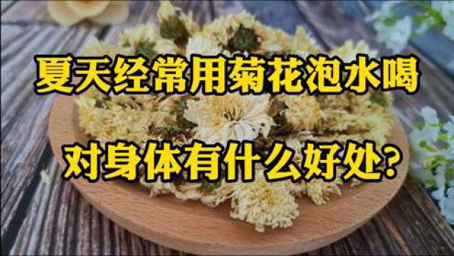 夏天,经常用菊花泡水喝,对身体有什么好处?这4个好处不请自来