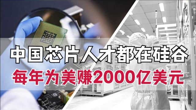 中国顶尖人才都在硅谷,每年为美赚2000亿美元,8所高校已经行动