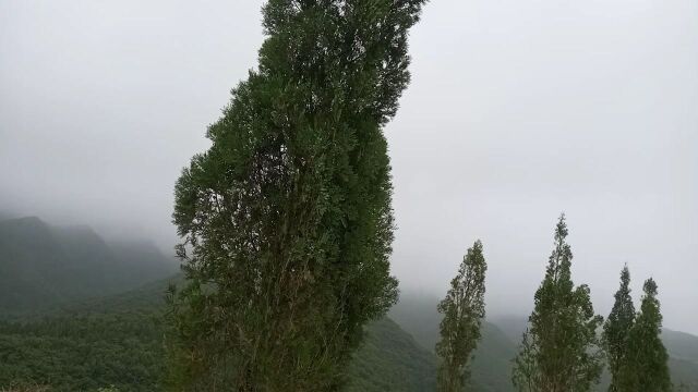 美丽的大山