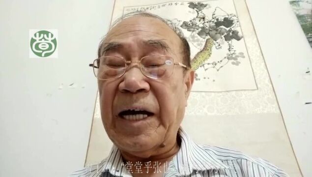 寻荀文化讲论语子张19.16堂堂乎张也,难与并为仁矣