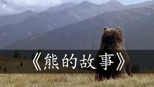 熊的故事：这部电影全片仅有两三句台词，但豆瓣评分高达9.1分