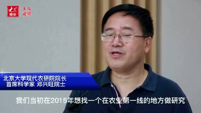 农业“硅谷”启航!北京大学现代农业研究院在潍坊启用