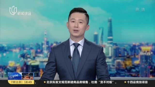 扎根临港推动建设 先进党组织勇担使命