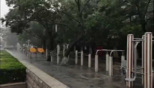 伏天的第一场大雨!邯郸沁河岸边的雨景.历史的记载!