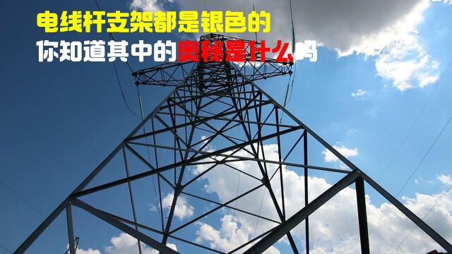 电线杆支架都是银色的你知道其中的奥秘是什么?#“知识抢先知”征稿大赛#