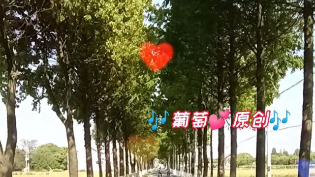 好听的夏天歌曲