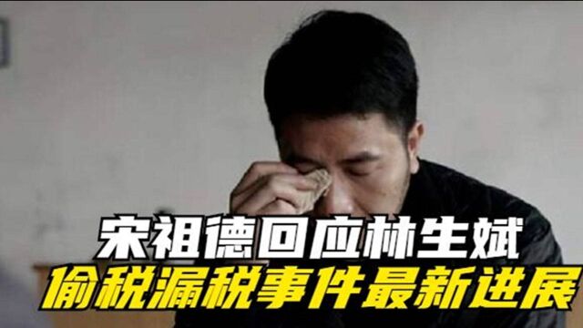 宋祖德发视频回应林生斌偷税漏税事件最新进展!