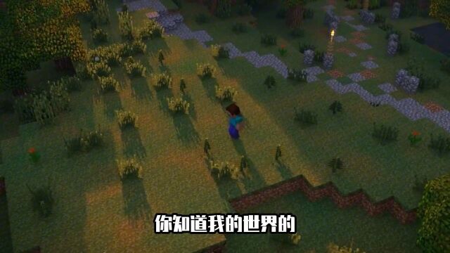 MC中让人怀念的萌新时光,还记得刚玩MC时你干的蠢事么?