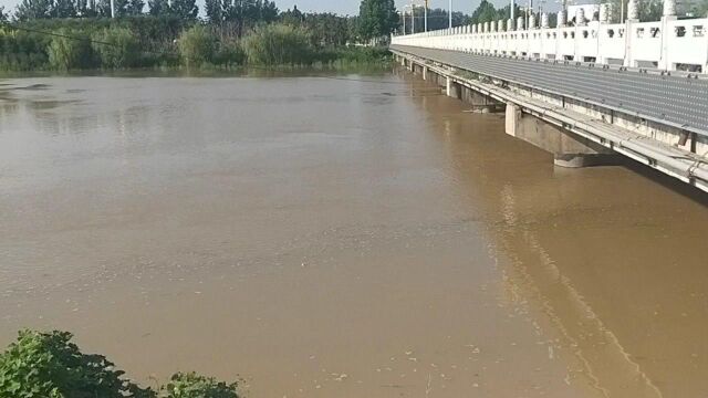 平安河南:河里水满了,预报接下来几天还有雨,西华一定要挺住