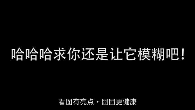 当表情包不再模糊......哈哈哈求求你了,还是让它模糊吧!