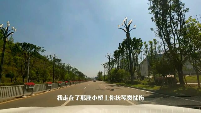 本君VLOG 记录重庆潼南相关风景 超清4K视频旅游 21版本第 (73)