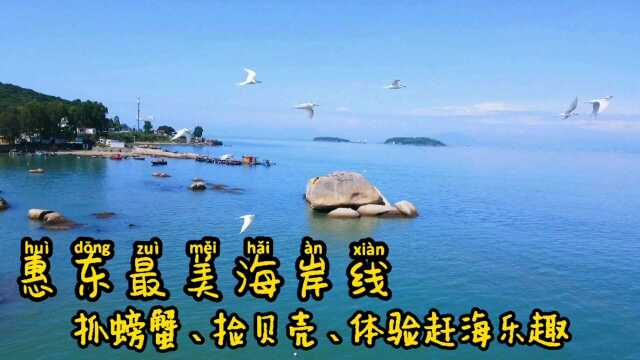 自驾惠东最美海岸线,体验赶海的乐趣,风景太美了,来了就不想走