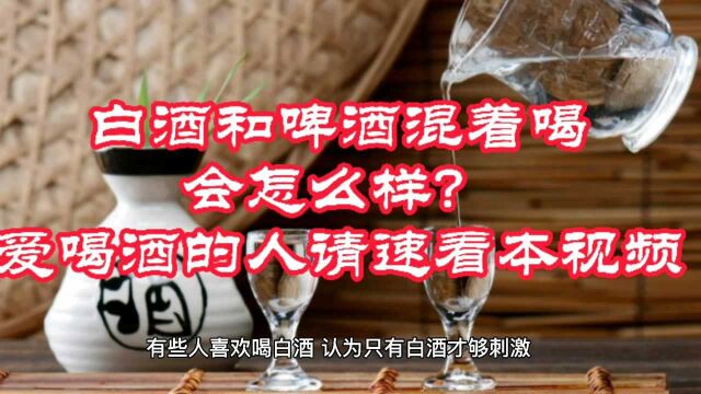 白酒和啤酒混着喝会怎么样?爱喝酒的人请速看本视频