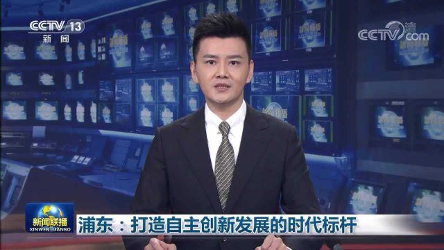 浦东:打造自主创新发展的时代标杆